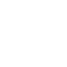 execution icon 1